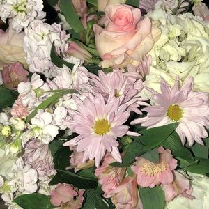 Meet your Posher, Maya